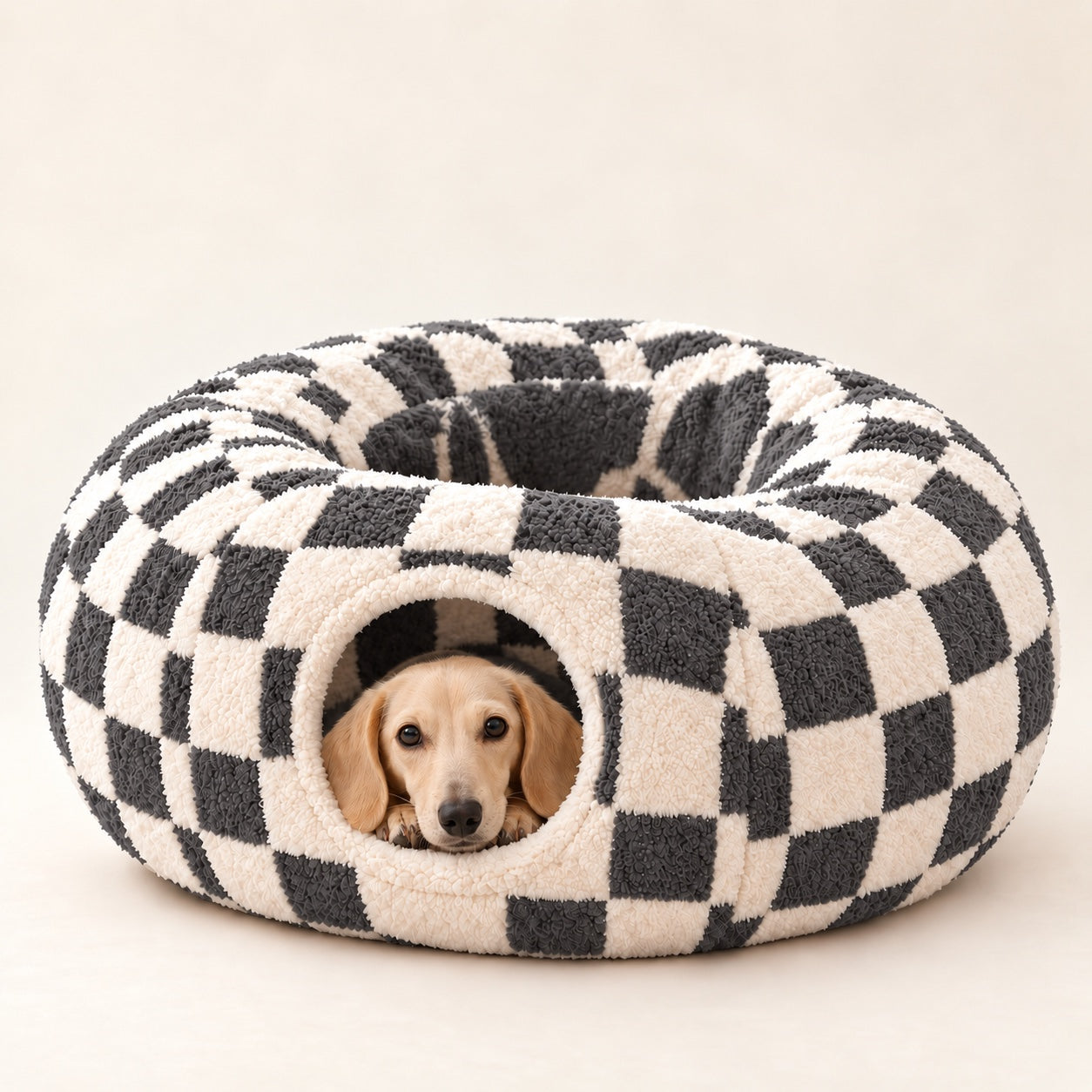 Cream Dachshund peeking out of a Charcoal Checker Burrow Bed